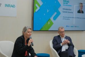 Carole Caranta
