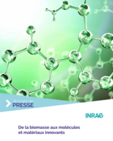 DP biomasse INRAE.png